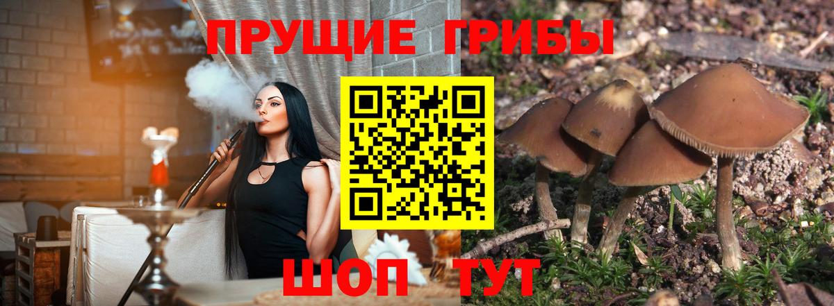 Альметьевск  Псилоцибиновые грибы мухоморы  Вход с VPN 